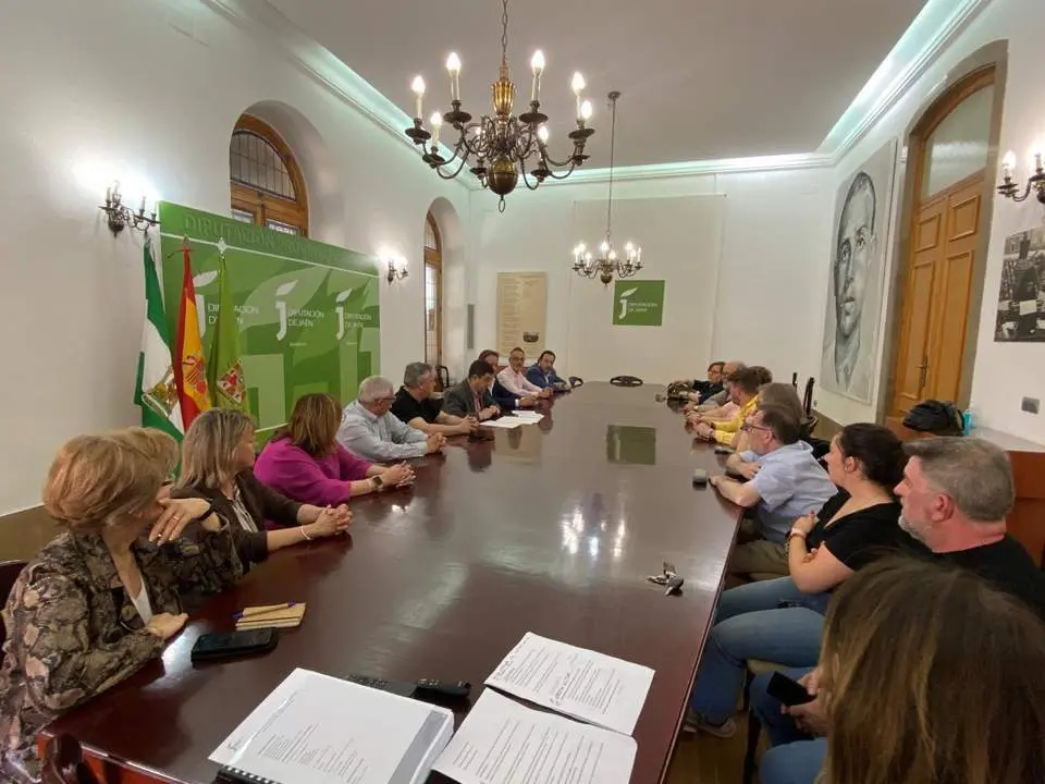 La reuni&oacute;n se celebr&oacute; en la Diputaci&oacute;n. - Viva Ja&eacute;n.