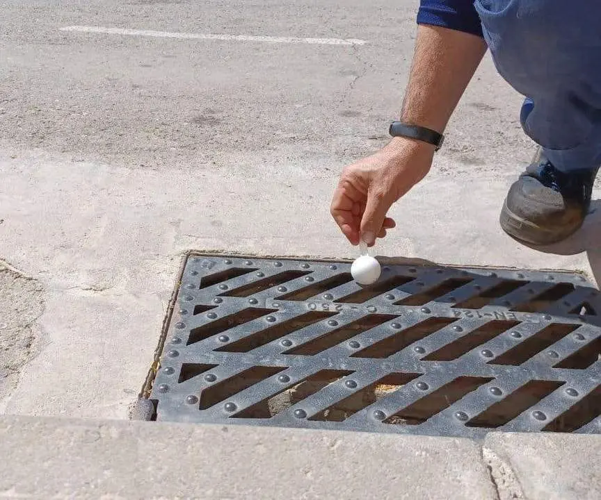 Tratamiento larvicida en el alcantarillado.   - 