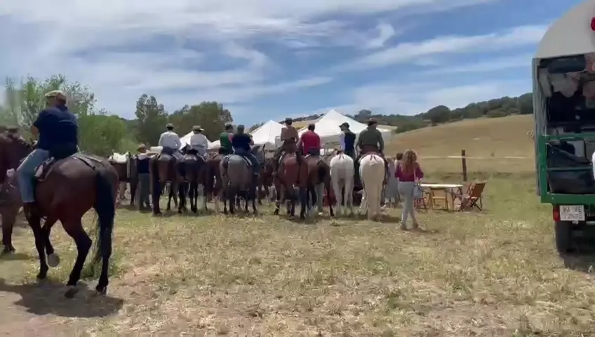 La Fiesta de la Cruz de Mayo de Los Naveros cosecha un gran &eacute;xito