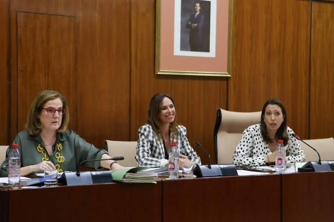 La consejera de Fomento, Roc&iacute;o D&iacute;az. - VH