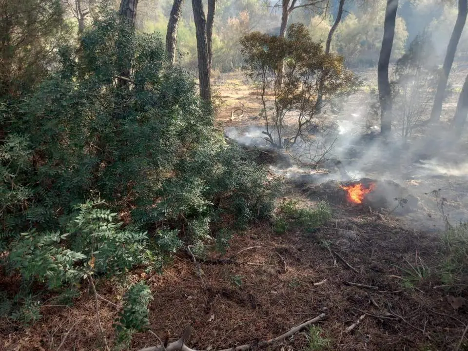 Un incendio. - INFOCA