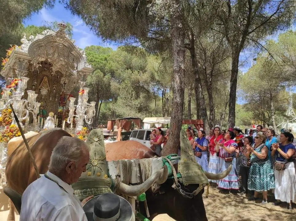 El simpecado de la Macarena comino del Roc&iacute;o. - Archivo