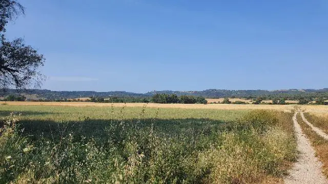 Vega de Barr&iacute;a. - AI
