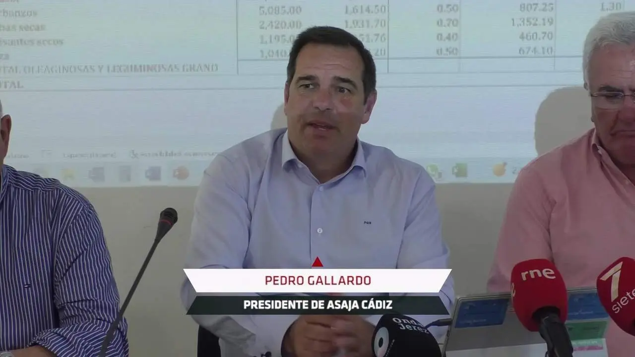 Asaja C&aacute;diz alerta de graves p&eacute;rdidas econ&oacute;micas en las campa&ntilde;as del trigo y del girasol