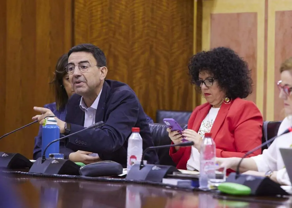 El diputado socialista Mario Jim&eacute;nez, en la Comisi&oacute;n. -  JOAQU&Iacute;N CORCHERO/PARLAMENTO
