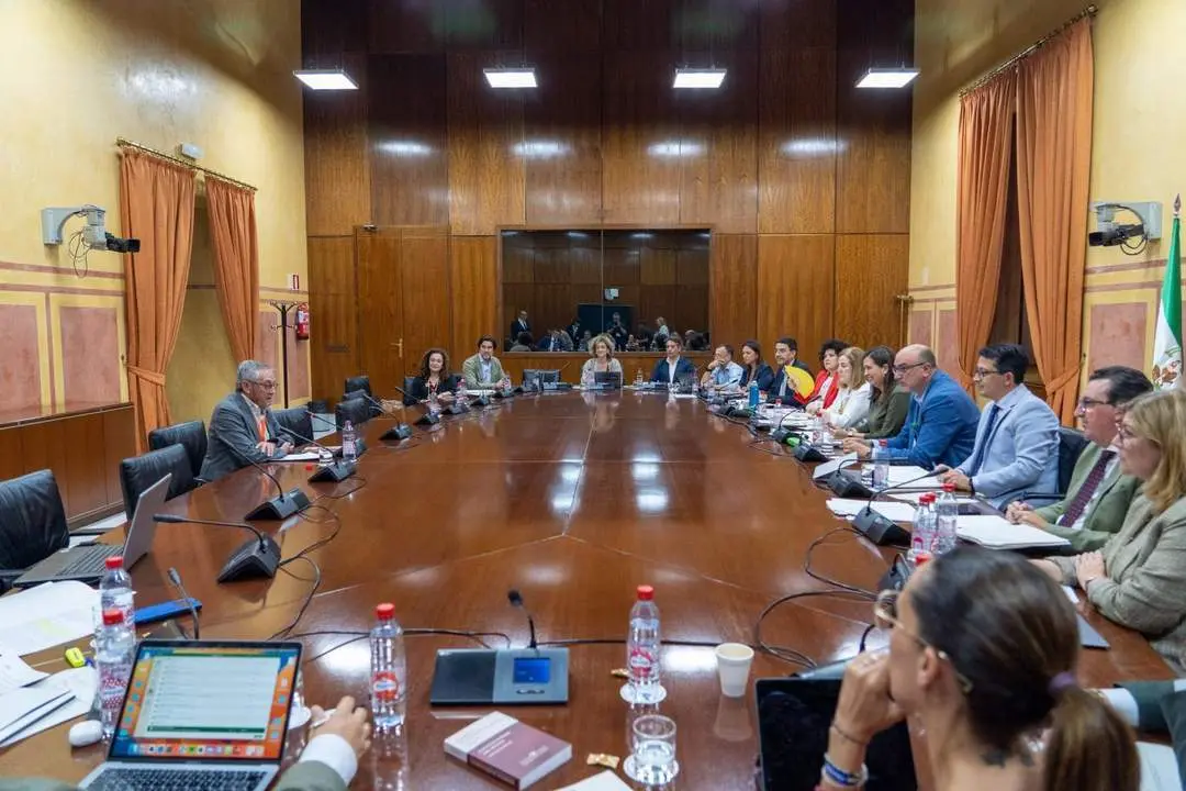 Comparecencia en la tramitaci&oacute;n de la ley. - EP