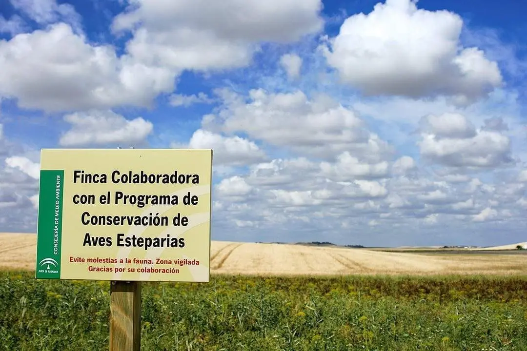 Ecologistas piden proteger la avifauna de la Campi&ntilde;a - Ecologistas en Acci&oacute;n
