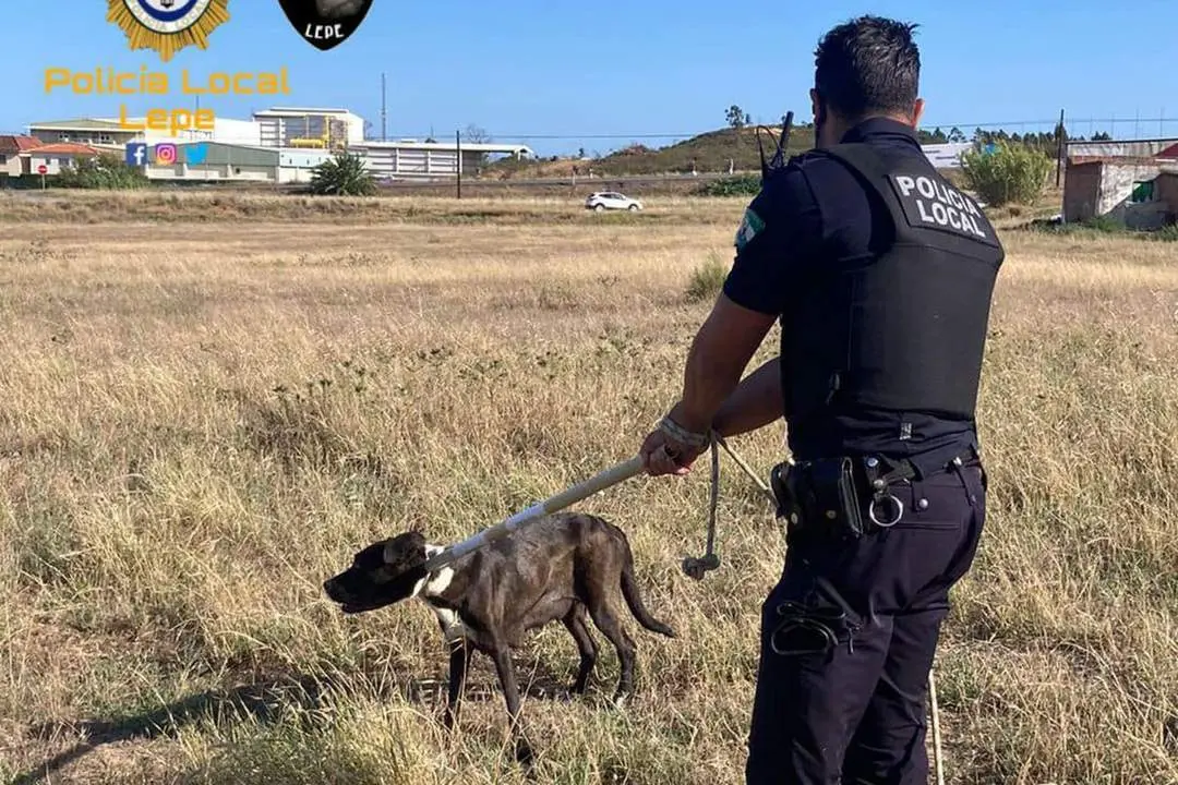El agente con el perro ya capturado. - POLIC&Iacute;A