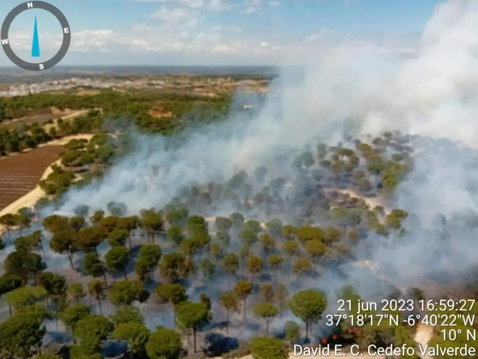 Incendio en Bonares. - INFOCA