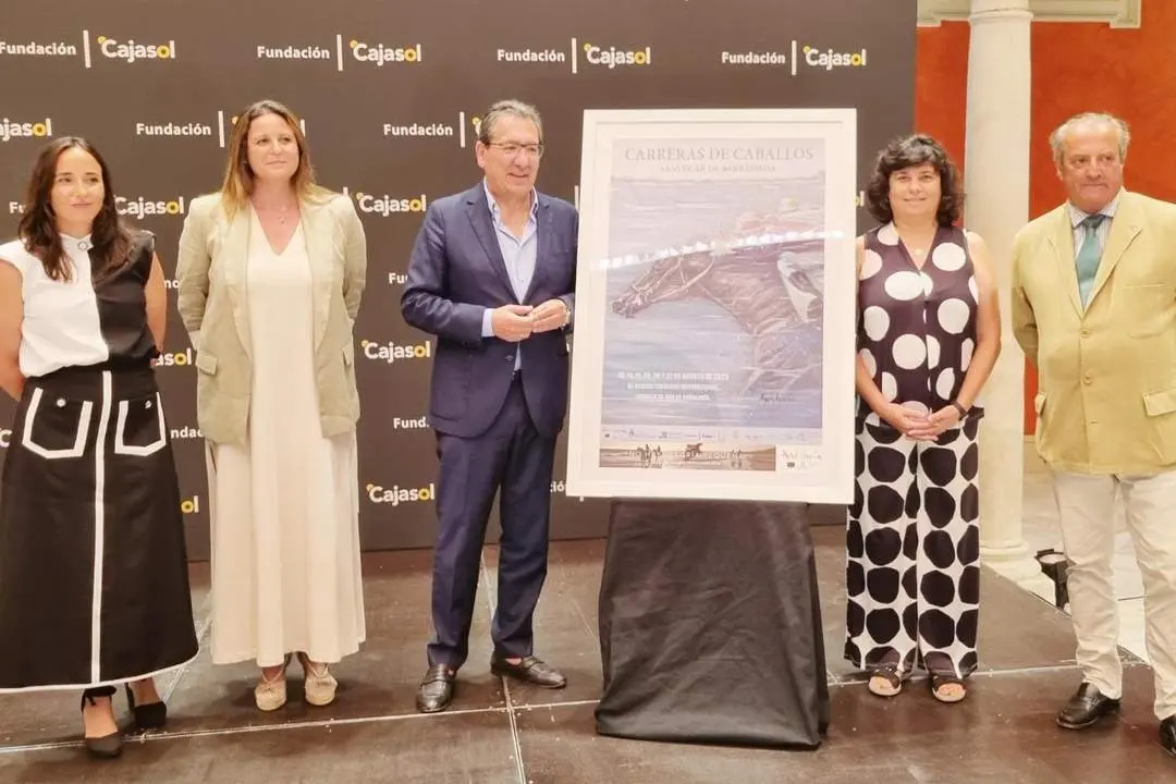 Un momento de la presentaci&oacute;n celebrada en Sevilla - RSCCS