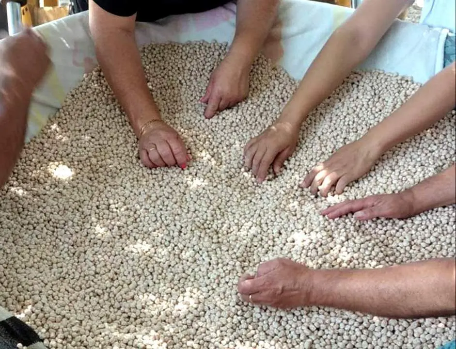 Garbanzos de Naveros. - A.I.
