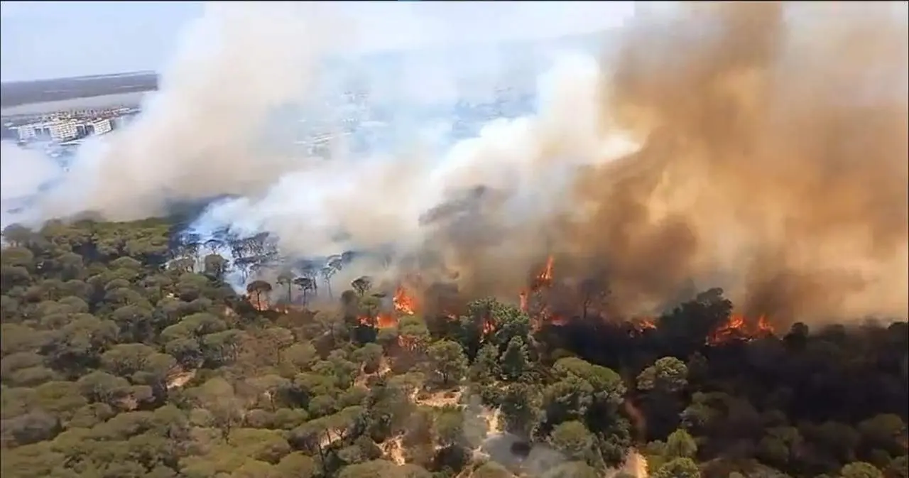 Imagen del incendio de Las Canteras, en Puerto Real. - E. P.