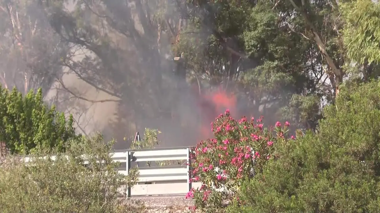 El fuego de Puerto Real se inici&oacute; en dos focos alejados entre s&iacute; de forma simult&aacute;nea