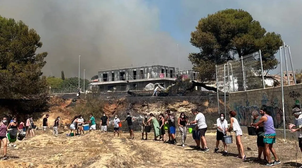 Cadena humana contra el fuego en Las Canteras, Puerto Real. - VIVA