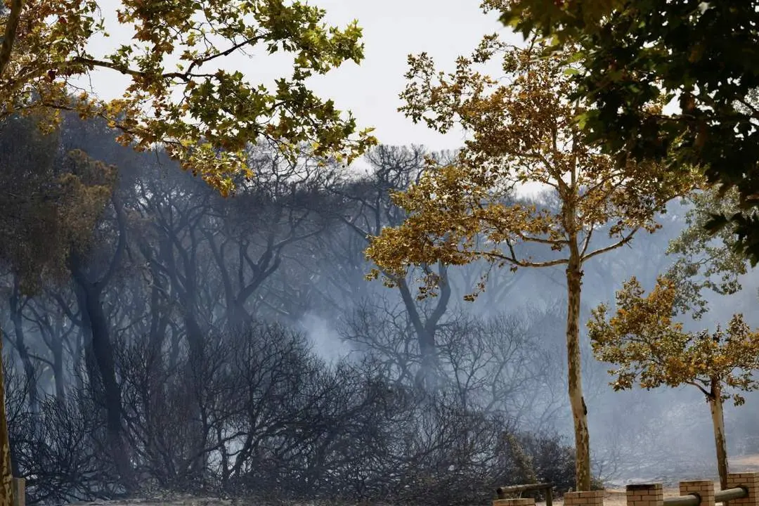 Vista de Las Canteras tras el incendio. - VIVA