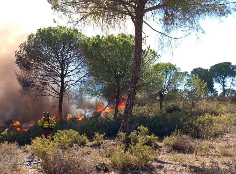 Efectivos del Infoca trabajando en la extinci&oacute;n del fuego. - JUNTA DE ANDALUCIA
