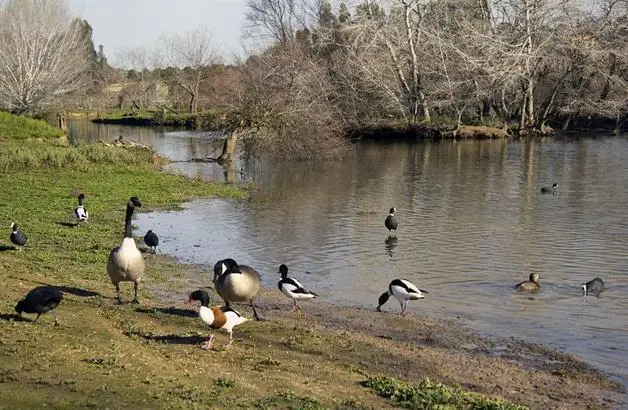 DO&Ntilde;ANA - EFE