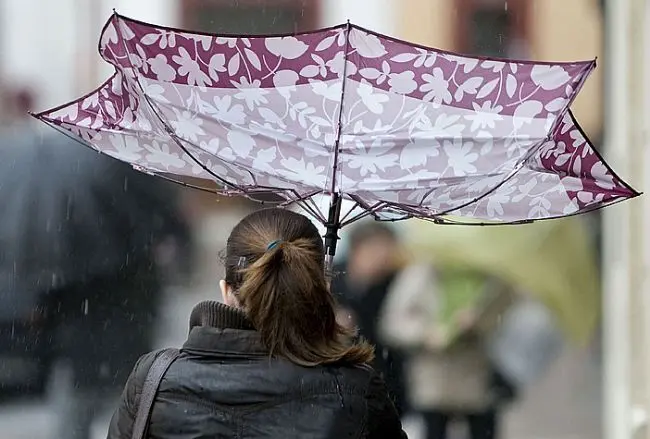 Una mujer con un paraguas en medio de un temporal. - Archivo
