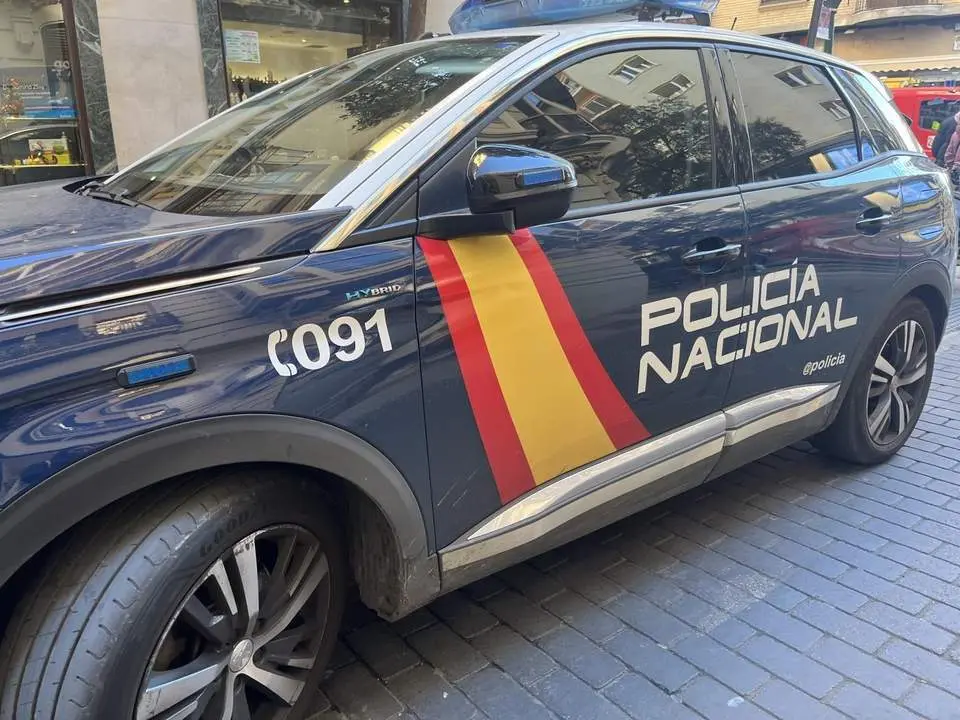 Coche de Polic&iacute;a Nacional. - EP