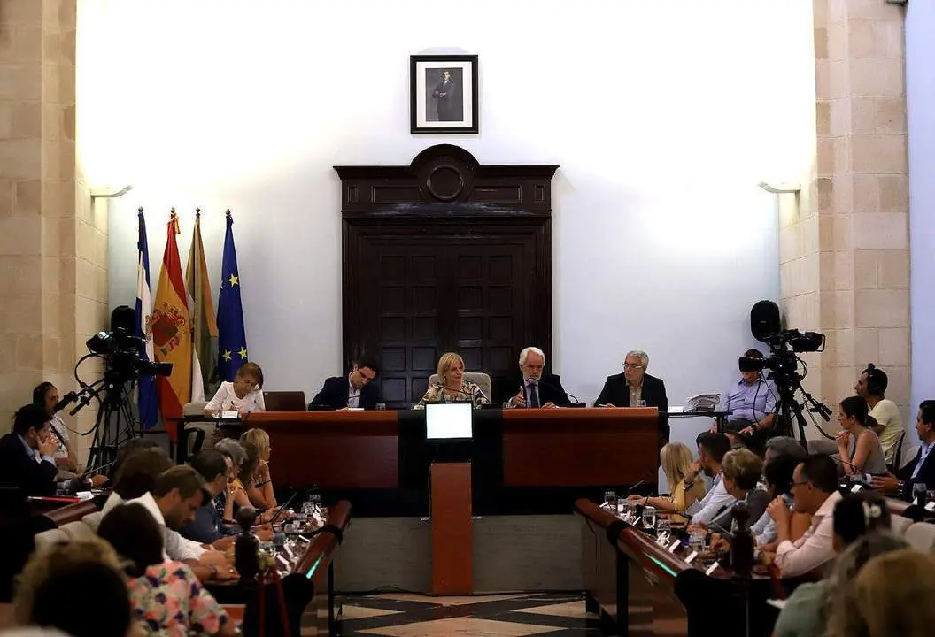 Mar&iacute;a Jos&eacute; Garc&iacute;a-Pelayo, presidiendo el Pleno de Organizaci&oacute;n.  - Andaluc&iacute;a Informaci&oacute;n