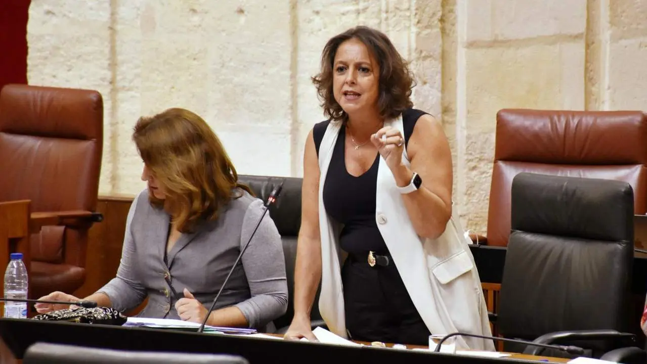 La consejera de Salud interviene en el Pleno. - EP
