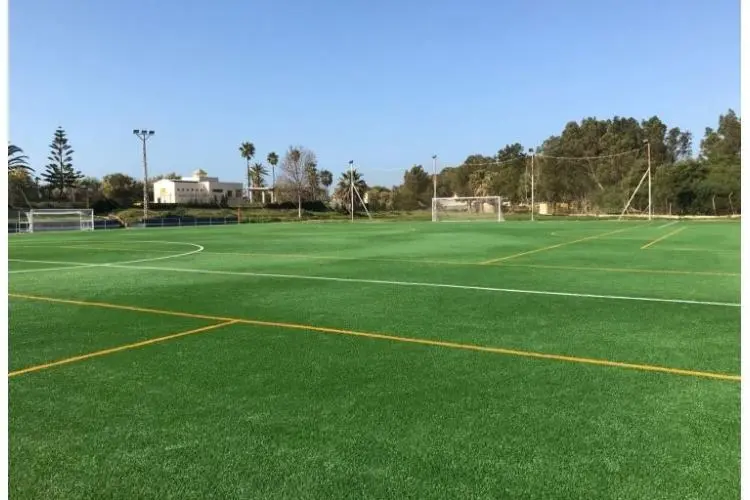 Campo.  - Viva. 
