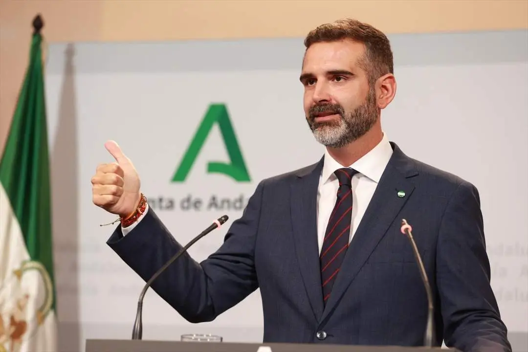 El consejero Ram&oacute;n Fern&aacute;ndez-Pacheco. - Roc&iacute;o Ruz / Europa Press