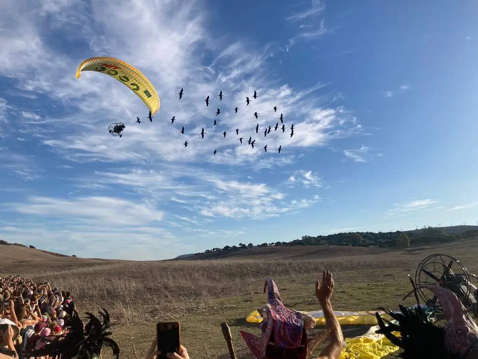 De Viena a Barbate, un viaje hist&oacute;rico de 35 ibis y sus 'mam&aacute;s' humanas en ultraligeros