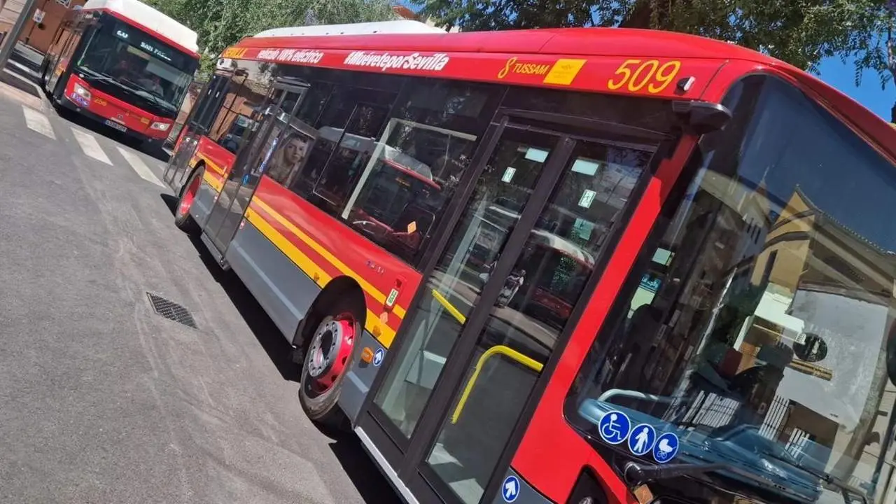 Autobuses de Tussam en Sevilla.  - TUSSAM