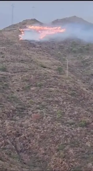 Extinguido el incendio declarado este jueves en Estepona
