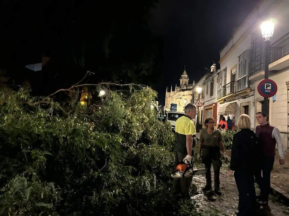 La alcaldesa y el delegado de Medio Ambiente en Porvera. - Viva