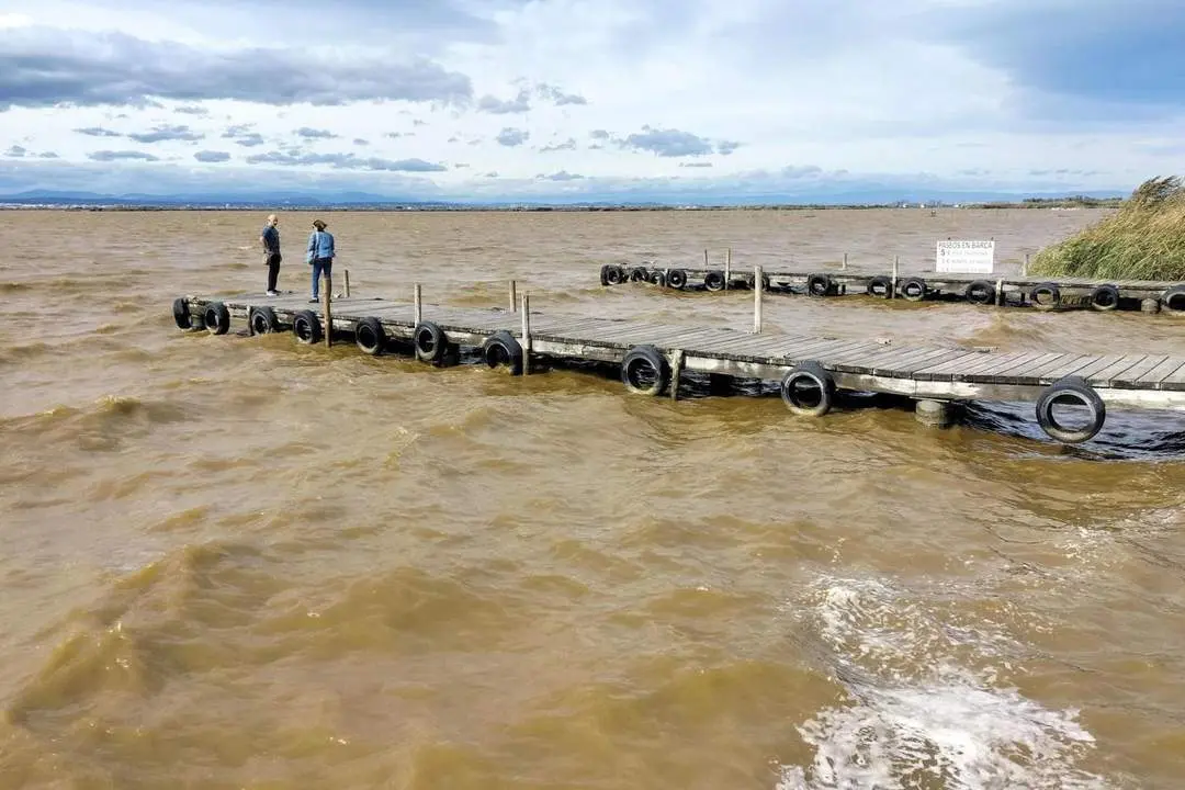 El actual color marr&oacute;n domina el agua de l'Albufera - Eusebio Calatayud - EFE