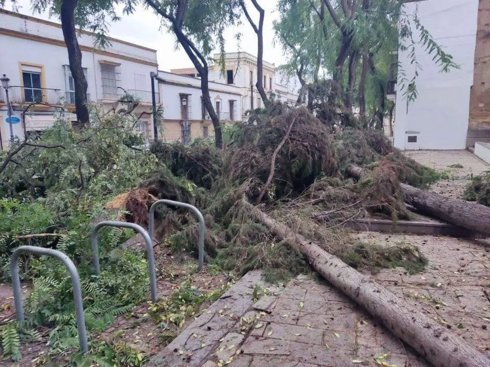 Efectos de Bernard a su paso por Jerez.  - Andaluc&iacute;a Informaci&oacute;n