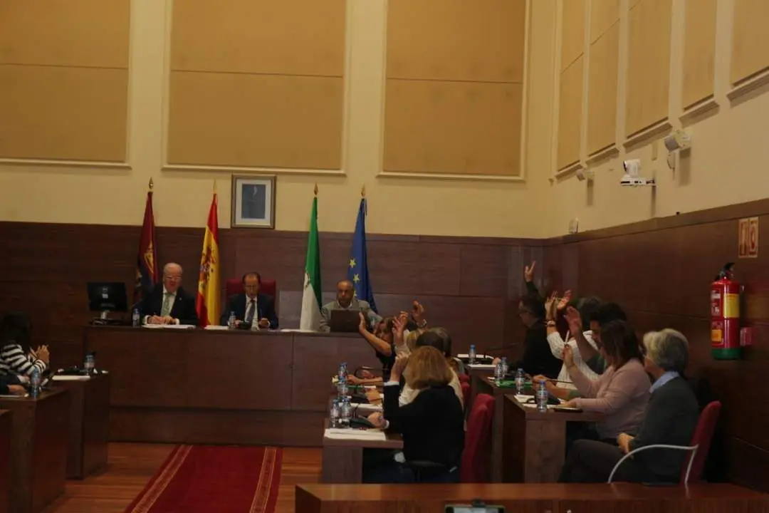 Pleno Municipal octubre - VIVA
