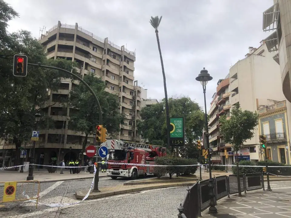 Evaluaci&oacute;n especial de la palmera este jueves. - VGPALACIOS