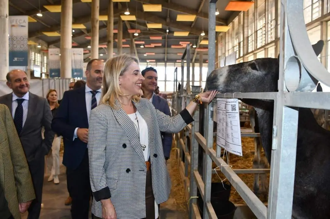 La presidenta de Diputaci&oacute;n en la inauguraci&oacute;n.  - Viva