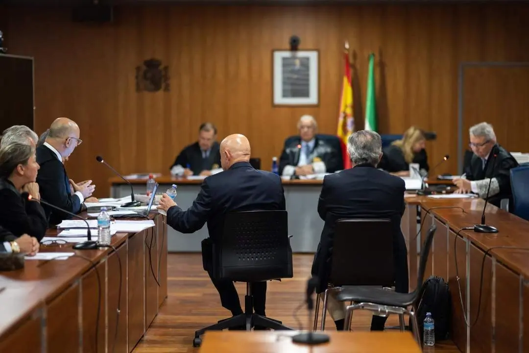 Olivo (i) y Roca durante un juicio. - Carlos D&iacute;az/EFE