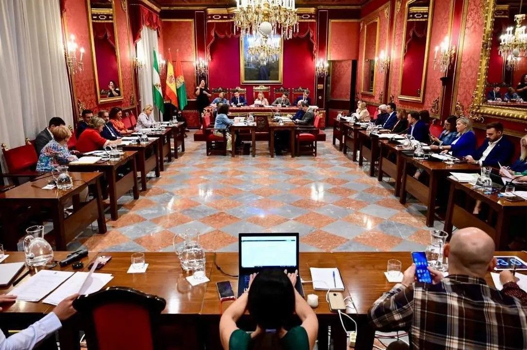 Pleno del Ayuntamiento de Granada - Europa Press