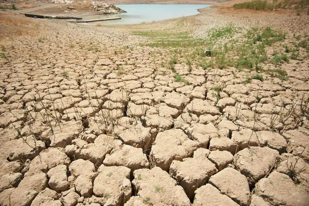 efectos de la sequ&iacute;a en La Vu&iexcl;i&ntilde;uela. - Felipe Passolas/ Dpa