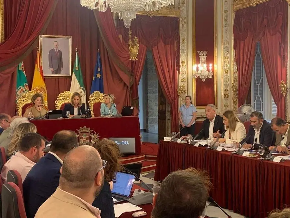 Pleno de la Diputaci&oacute;n de C&aacute;diz. - VCG