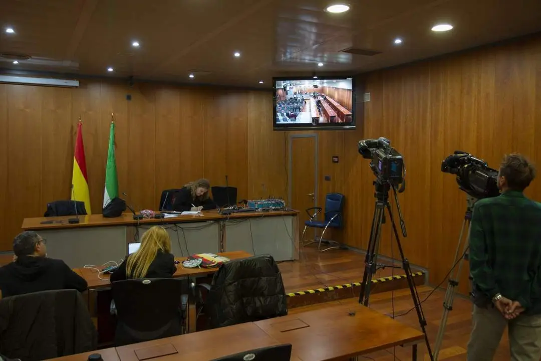 Declaraci&oacute;n por videoconferencia. - EFE/&Aacute;lvaro Cabrera