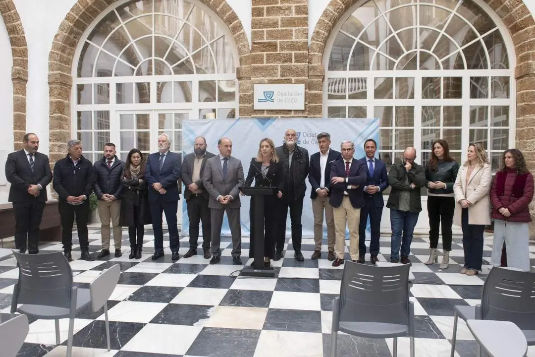 El Gobierno de Diputaci&oacute;n de C&aacute;diz, tras el Pleno de Presupuestos. - VIVA