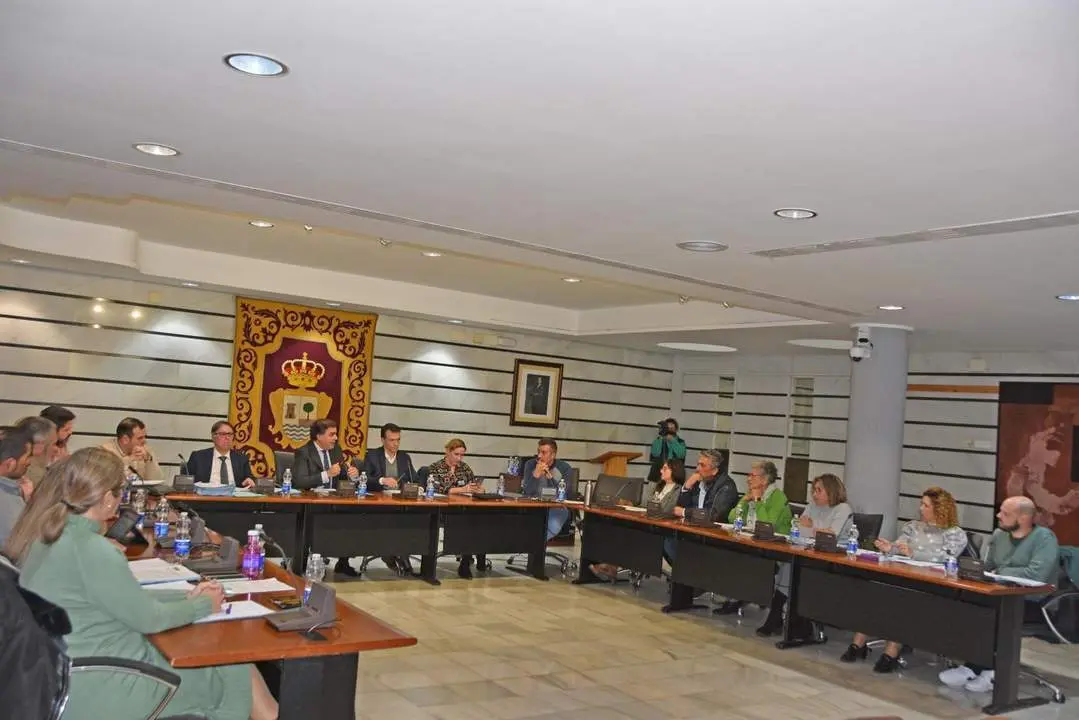 Pleno de noviembre Ayuntamiento de Punta Umbr&iacute;a - P.U.