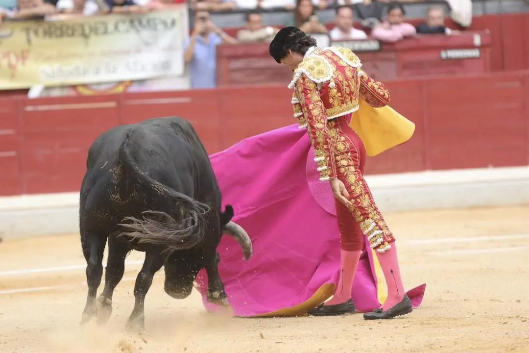 Curro D&iacute;az.  - Tauroemoci&oacute;n