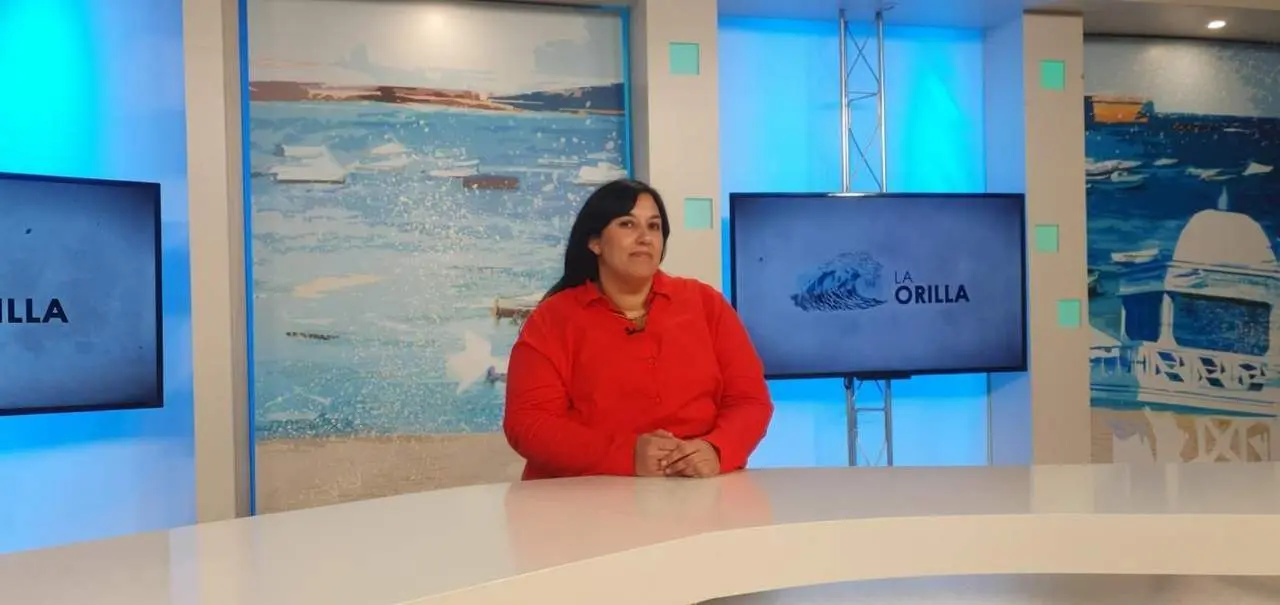 Ana Fern&aacute;ndez, portavoz de Adelante Izquierda Gaditana. - Mar&iacute;a Palacios