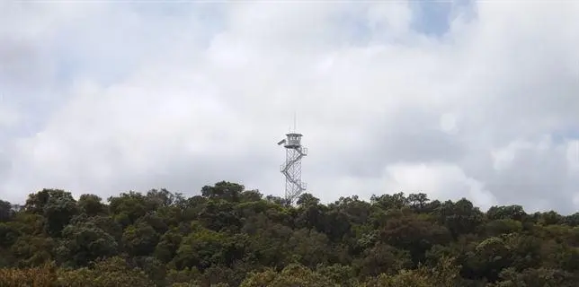 Cerro Muriano. - EP