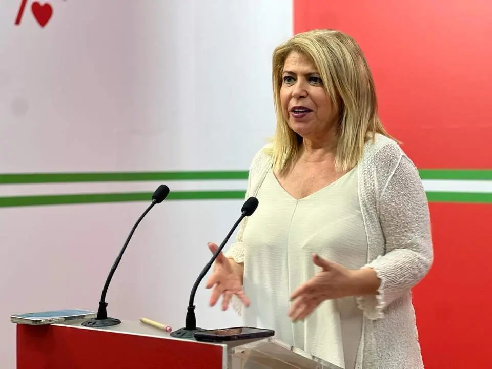 Mamen S&aacute;nchez en rueda de prensa - PSOE