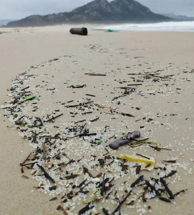 Pellets aparecidos en las costas gallegas. - ASOCIACI&Oacute;N NOIA LIMPA