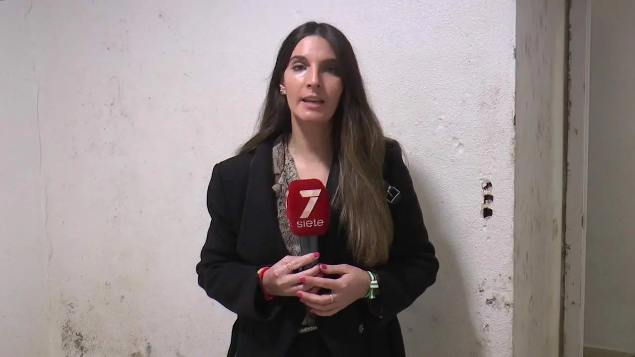 Entregan a una madre de 6 hijos una VPO en alquiler con humedades y moho en M&aacute;laga