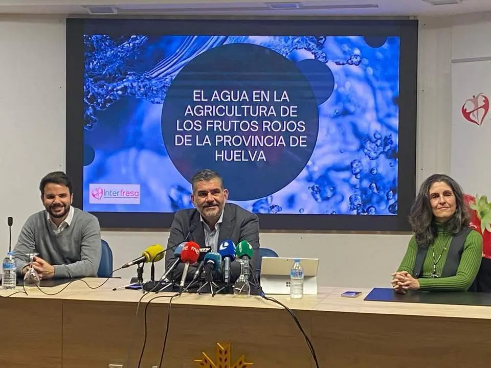 Presentaci&oacute;n del informe. - VH